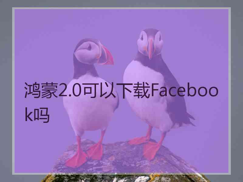 鸿蒙2.0可以下载Facebook吗