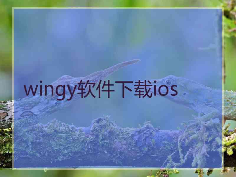 wingy软件下载ios
