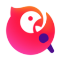 极光加速