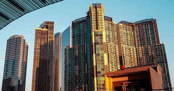 ladder在哪下载