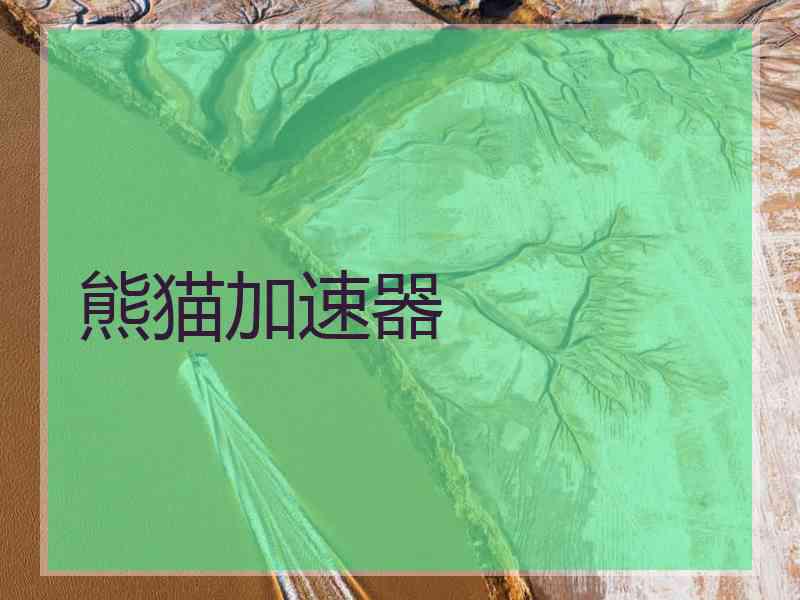 熊猫加速器