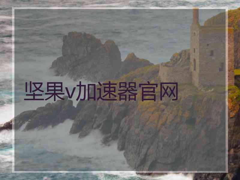 坚果v加速器官网