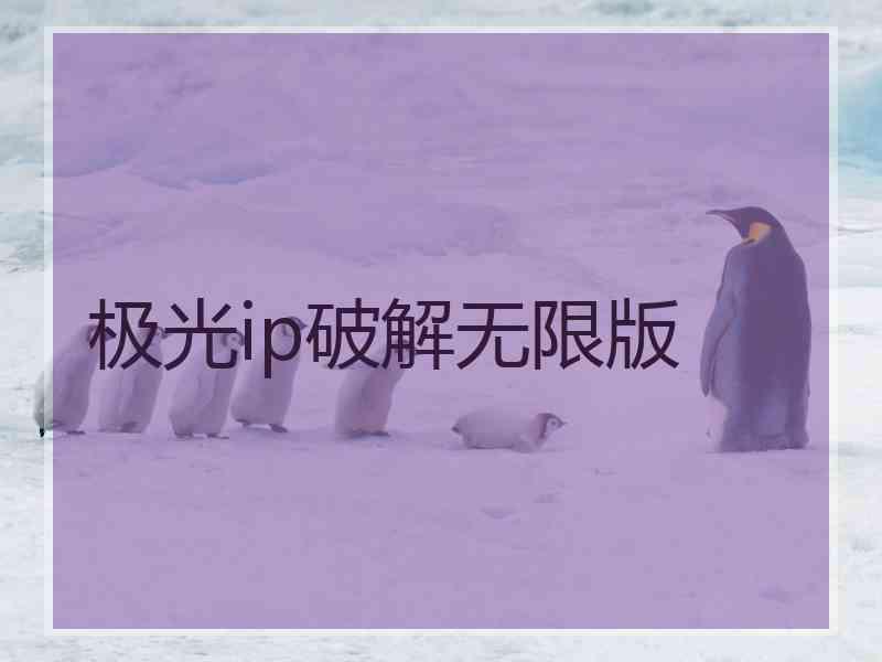 极光ip破解无限版