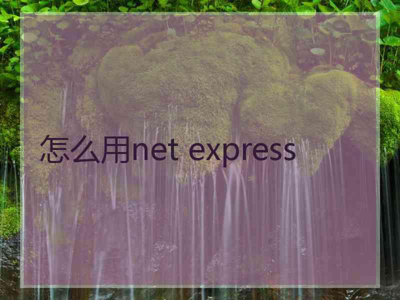 怎么用net express