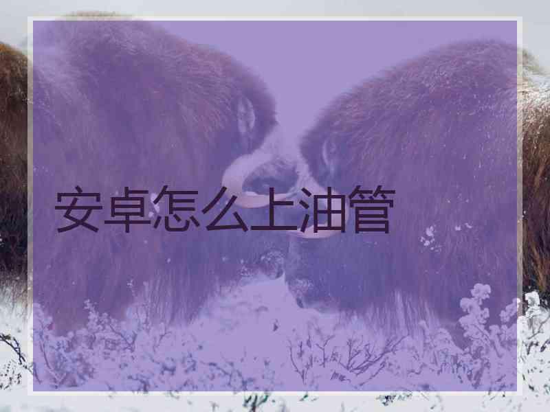 安卓怎么上油管