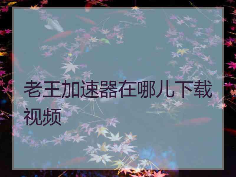 老王加速器在哪儿下载视频
