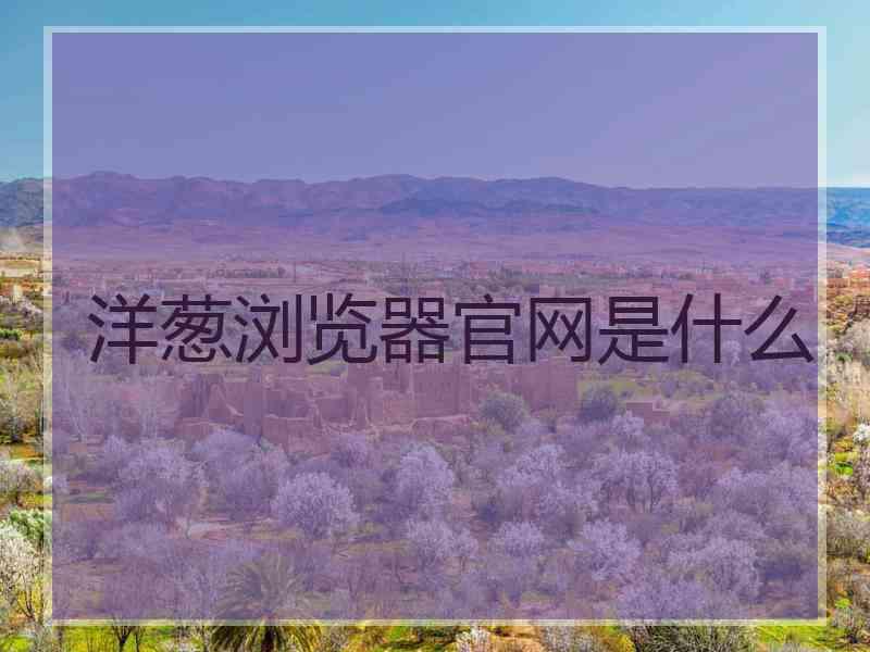 洋葱浏览器官网是什么