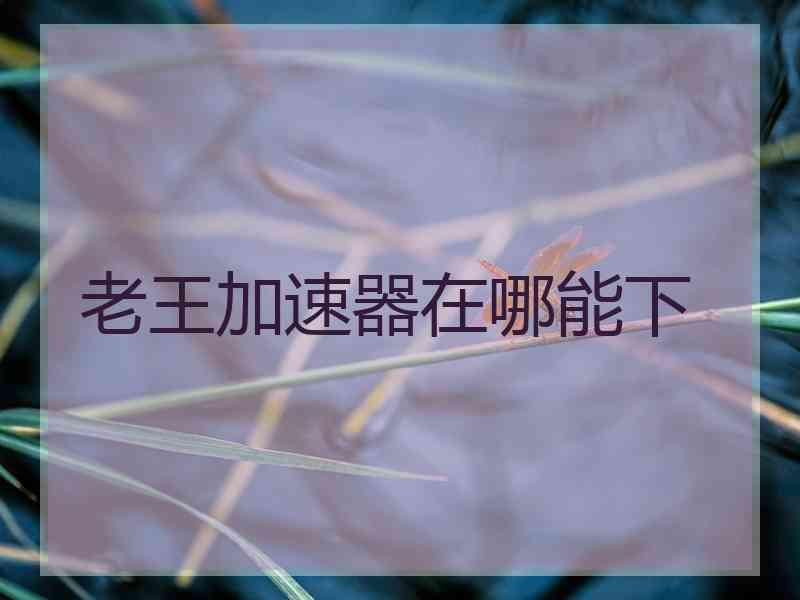 老王加速器在哪能下