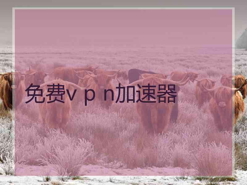 免费v p n加速器