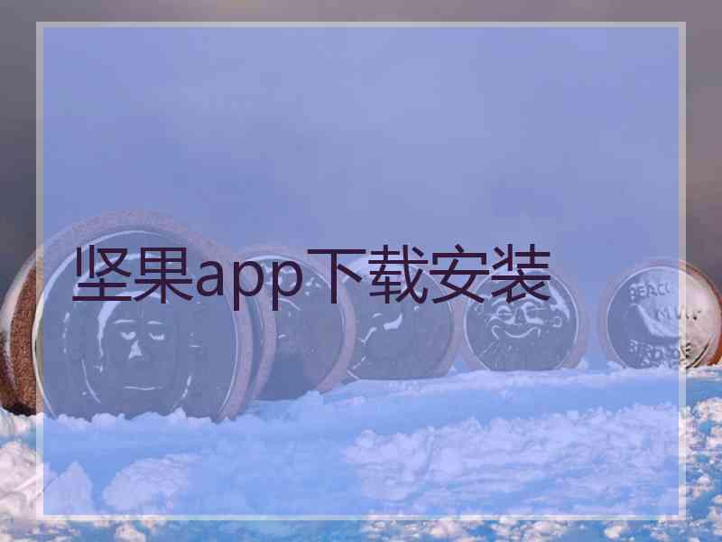 坚果app下载安装