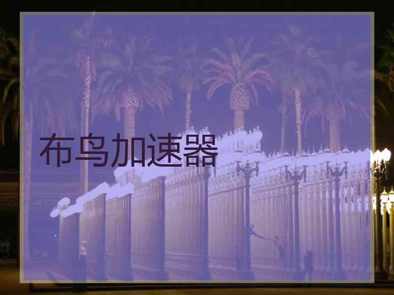布鸟加速器