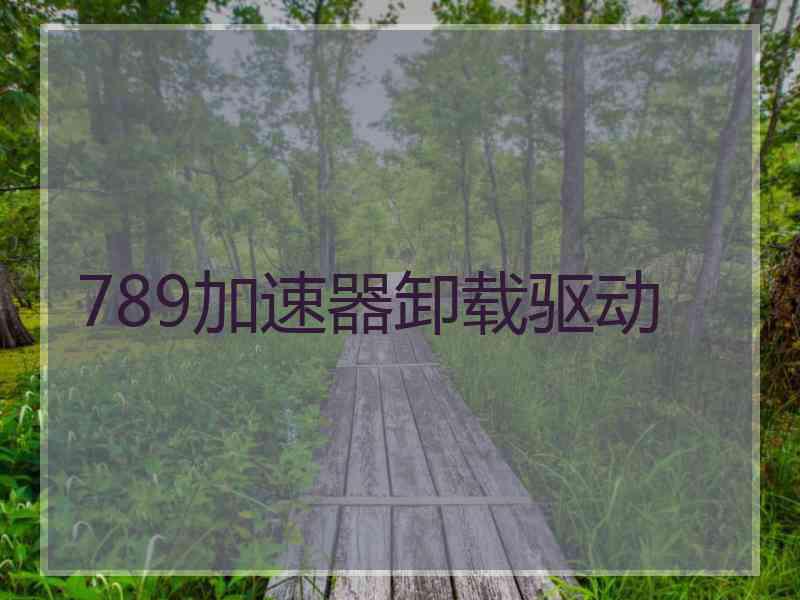 789加速器卸载驱动