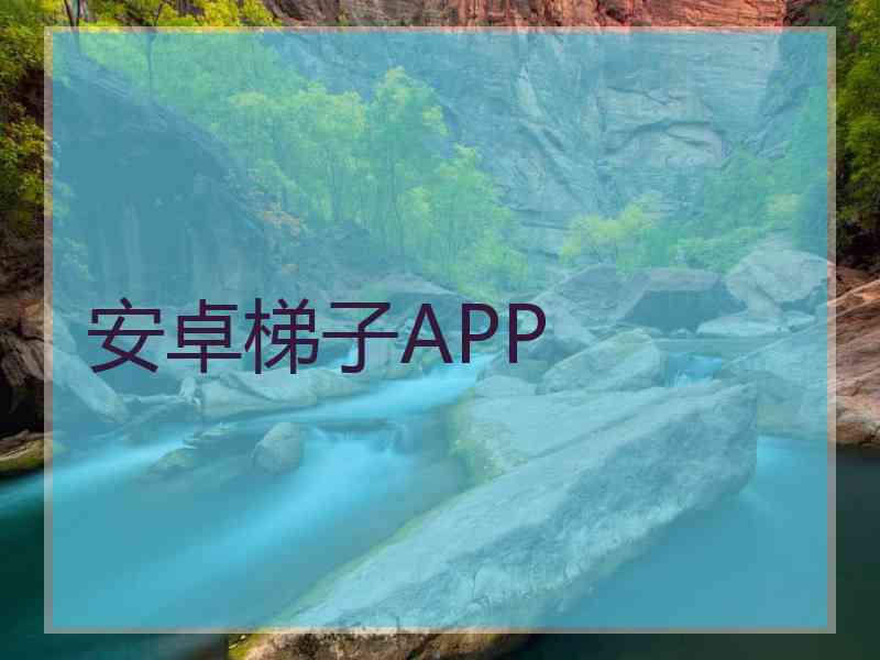 安卓梯子APP