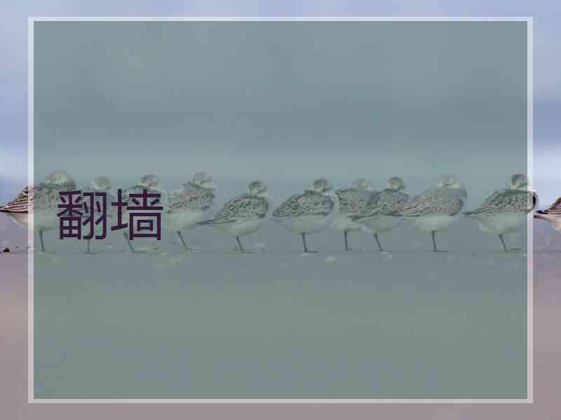 翻墙