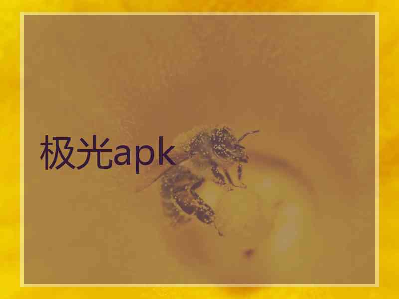极光apk