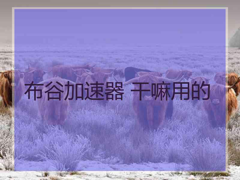 布谷加速器 干嘛用的