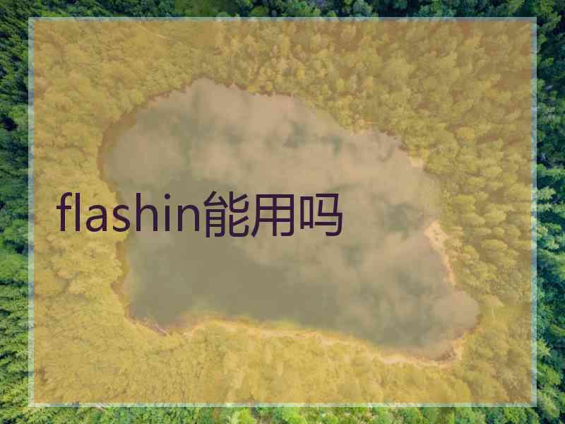 flashin能用吗
