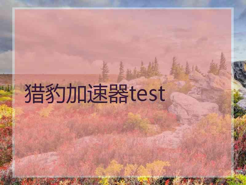 猎豹加速器test