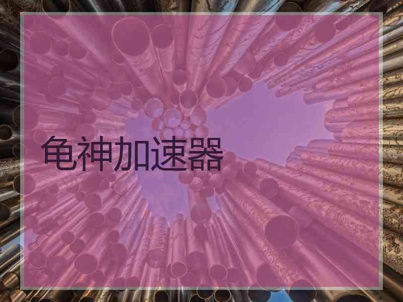 龟神加速器