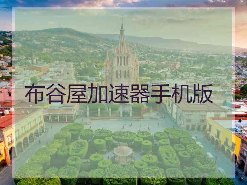 布谷屋加速器手机版
