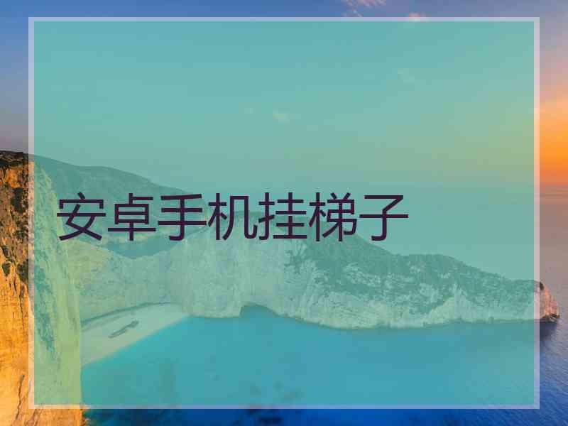 安卓手机挂梯子
