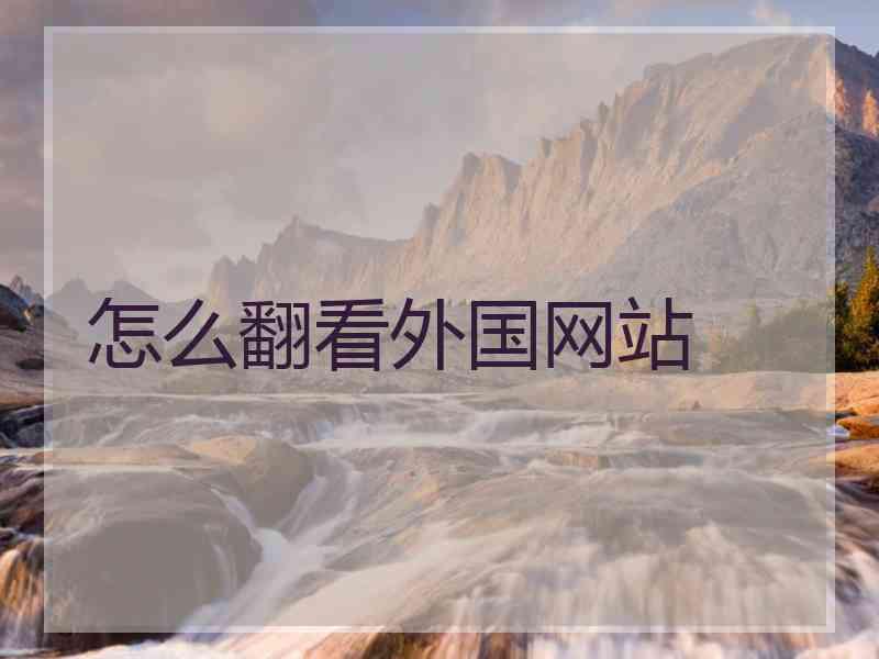 怎么翻看外国网站