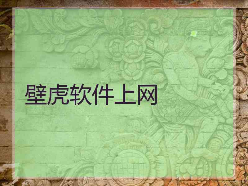 壁虎软件上网