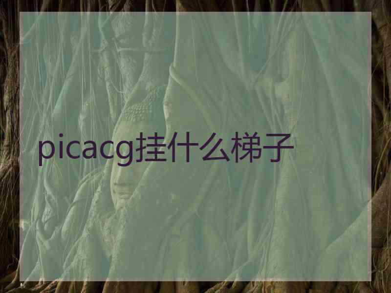 picacg挂什么梯子