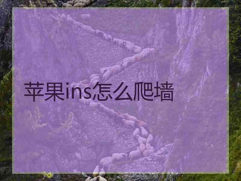 苹果ins怎么爬墙