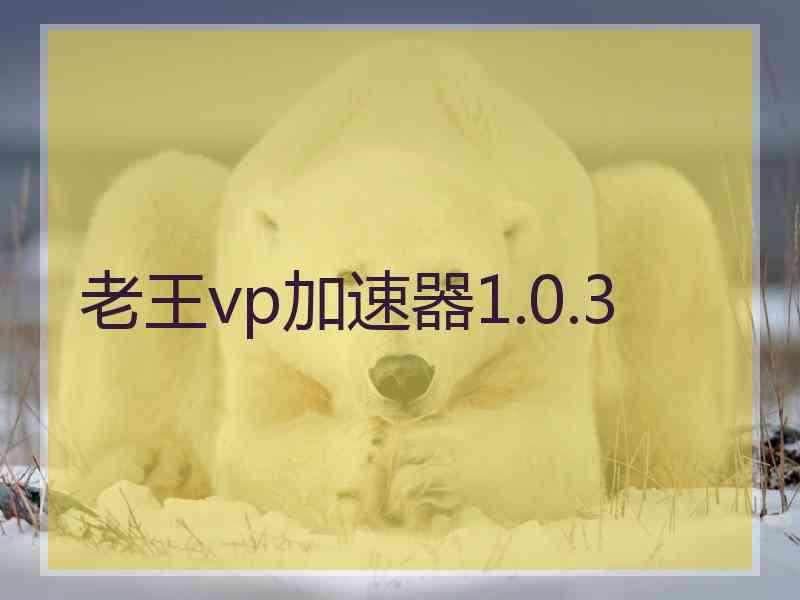 老王vp加速器1.0.3