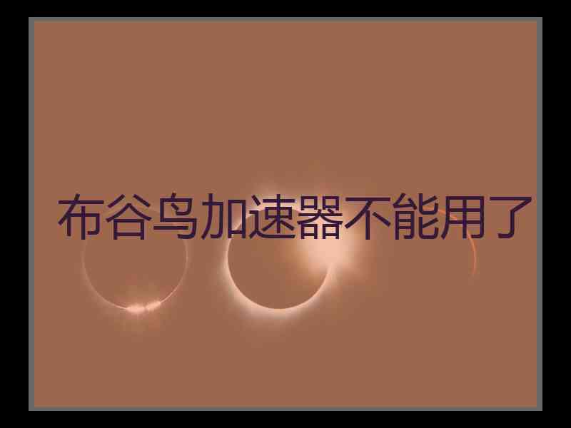 布谷鸟加速器不能用了