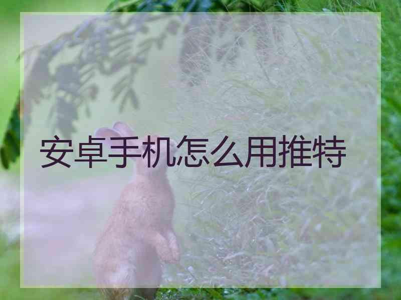 安卓手机怎么用推特