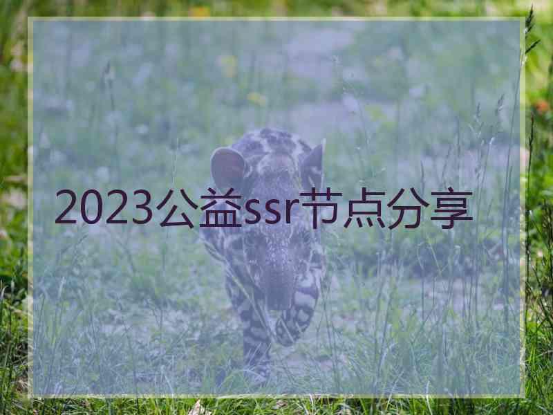 2023公益ssr节点分享