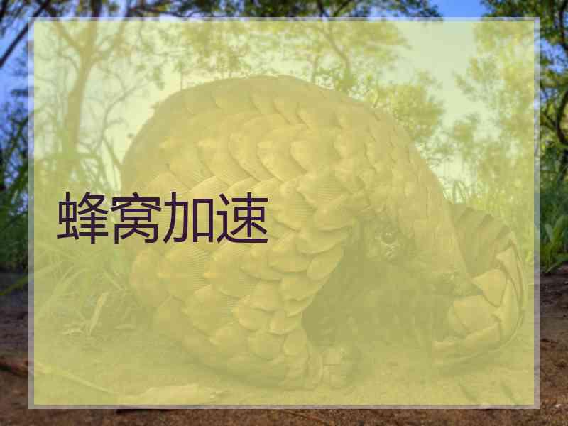 蜂窝加速