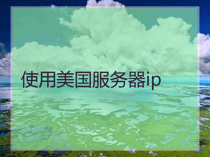 使用美国服务器ip