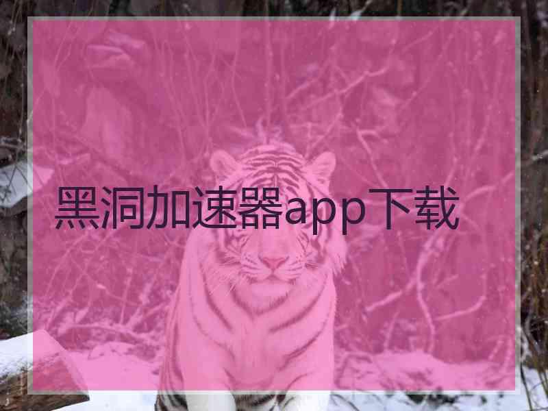 黑洞加速器app下载