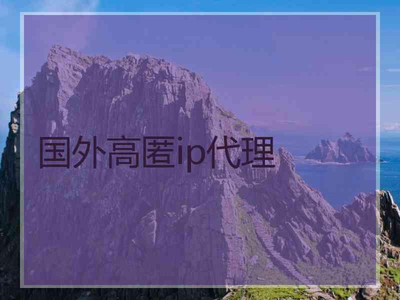 国外高匿ip代理