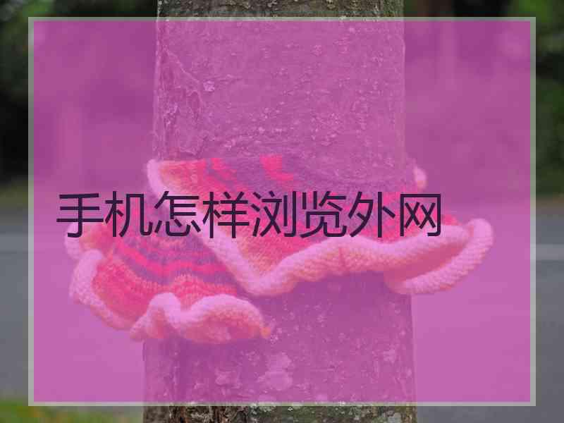 手机怎样浏览外网