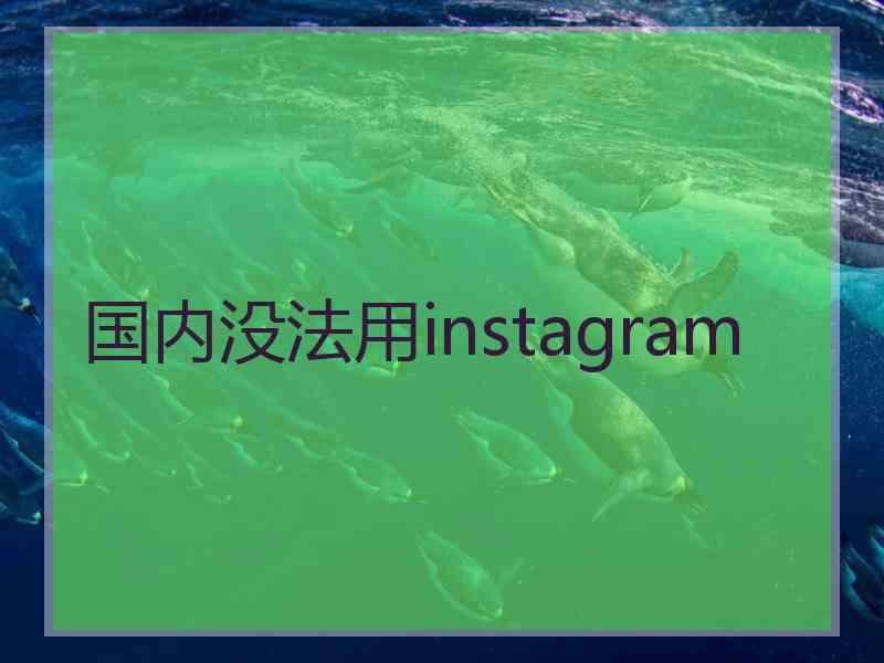 国内没法用instagram