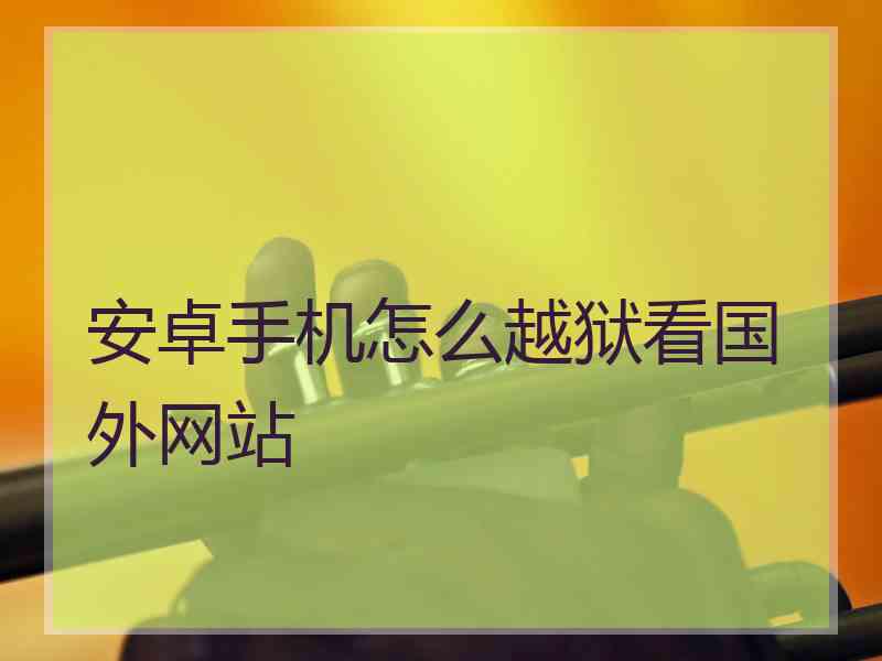 安卓手机怎么越狱看国外网站