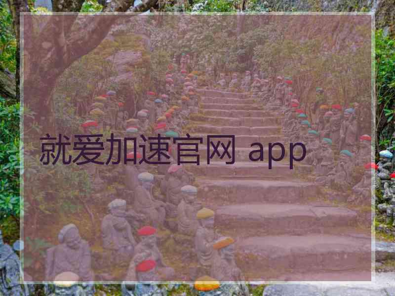 就爱加速官网 app