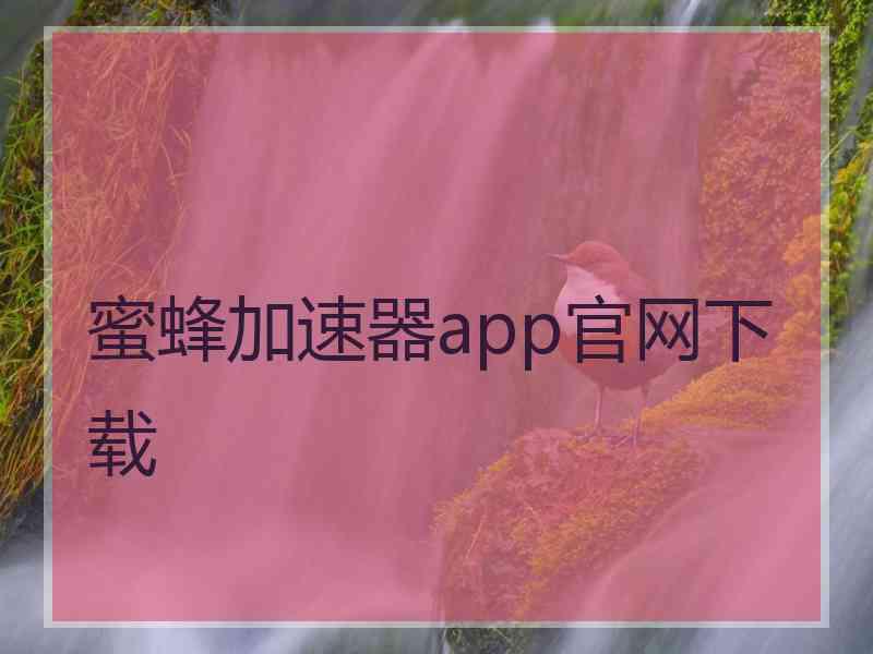 蜜蜂加速器app官网下载