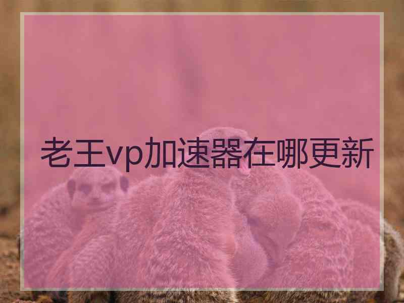 老王vp加速器在哪更新