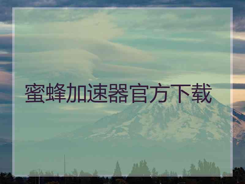 蜜蜂加速器官方下载