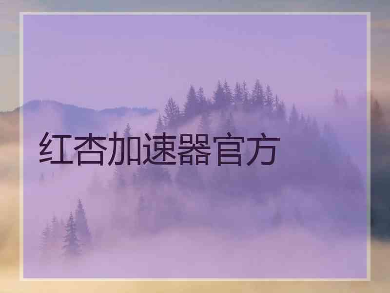 红杏加速器官方
