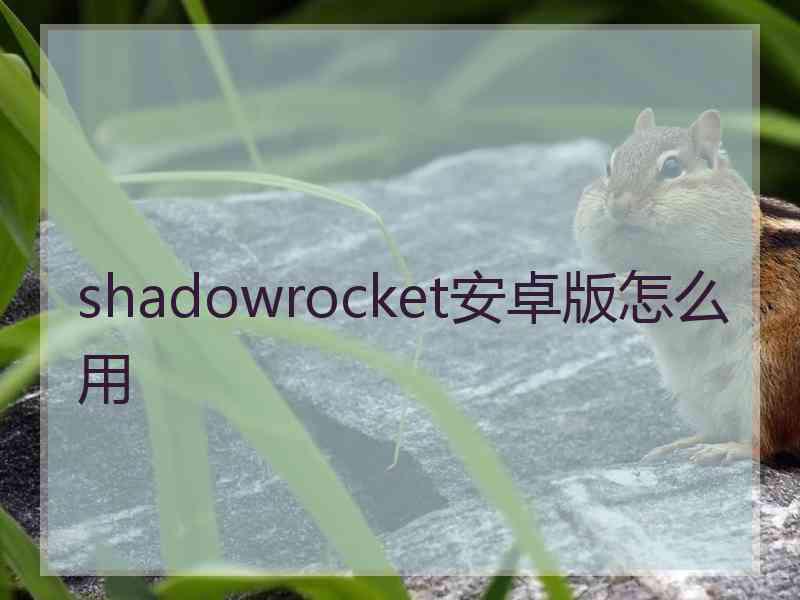 shadowrocket安卓版怎么用