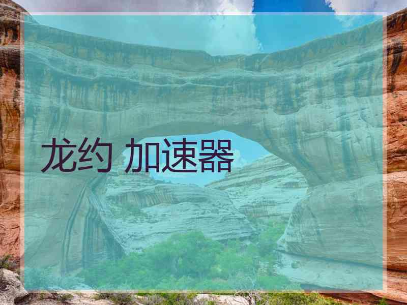 龙约 加速器