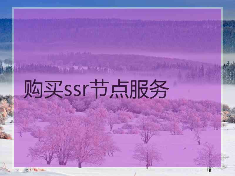 购买ssr节点服务