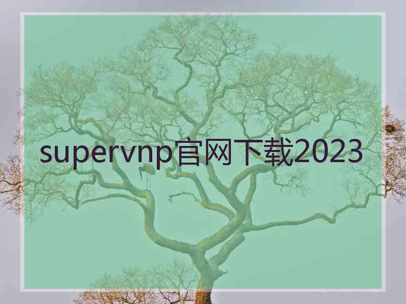 supervnp官网下载2023