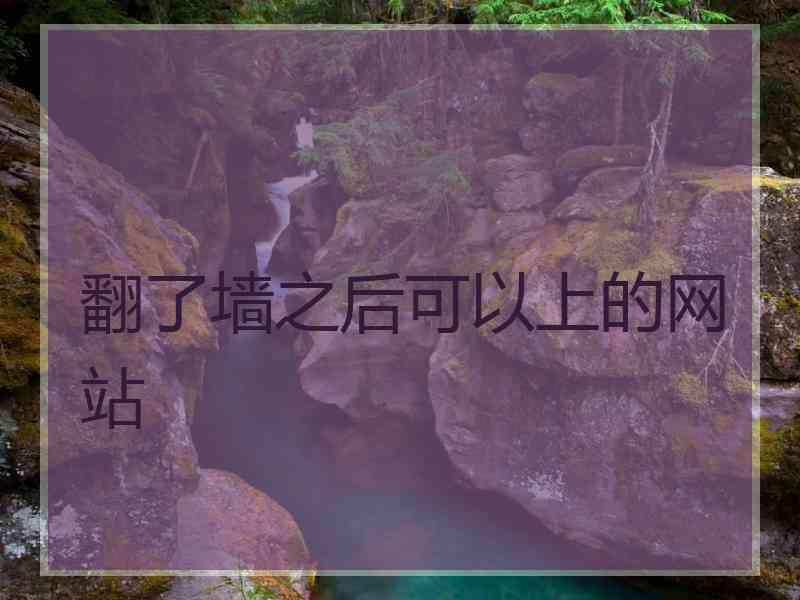 翻了墙之后可以上的网站